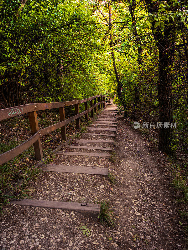 秋天森林里的土路。早晨的林间小路。