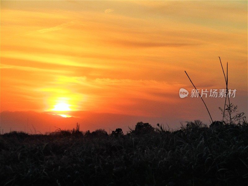 日本。2月底。落日。