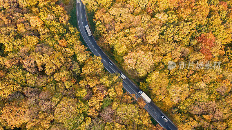 森林旁繁忙的道路