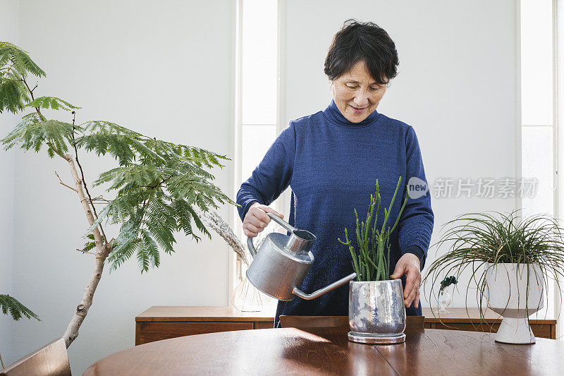 亚洲老年妇女在客厅里种花