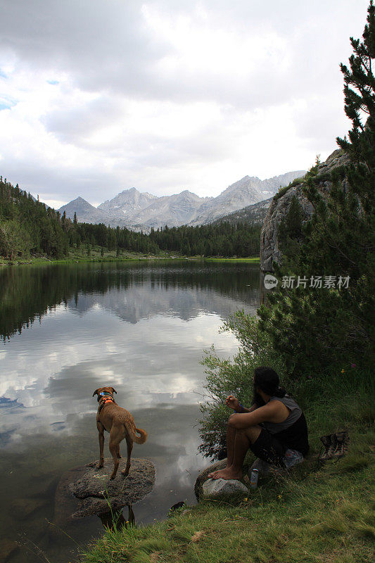 一个男人和一只狗在湖边的背影