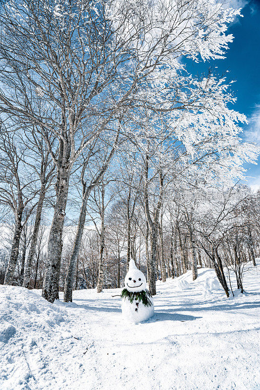 森林背景上的雪人