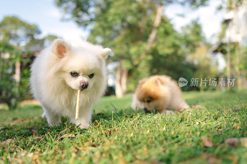 到了户外娱乐和美食的时间了