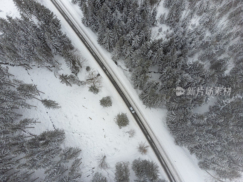 正上方一条笔直的道路穿过波兰冬季山区一片白雪覆盖的森林