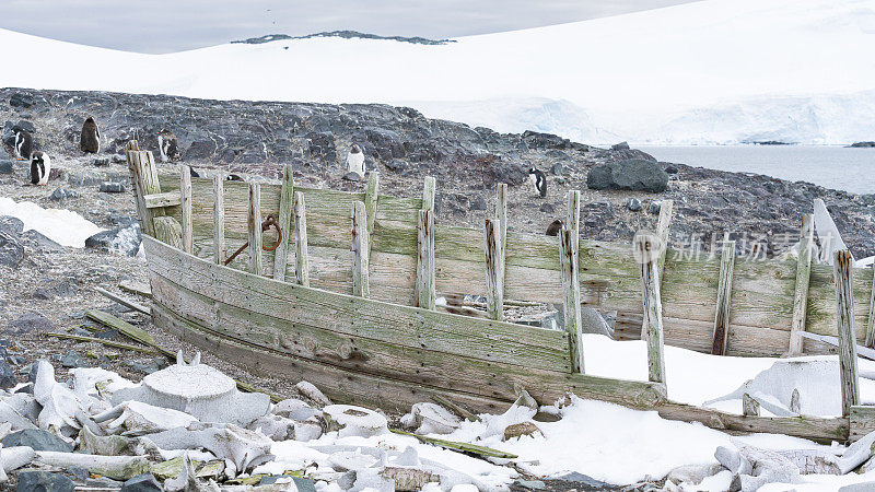 海滩上一艘旧木制捕鲸船的残骸