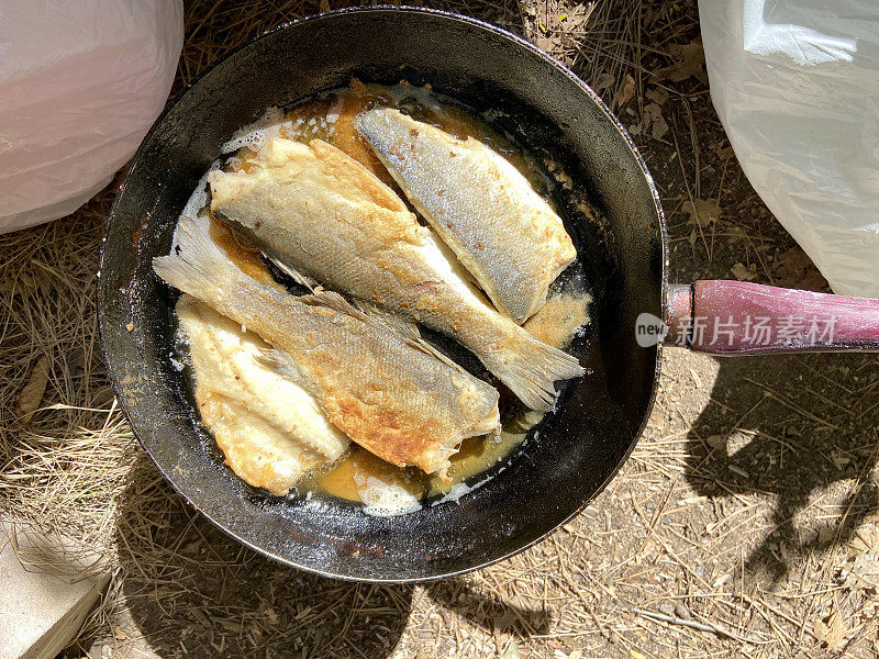 做海鲈鱼。野餐或露营时用煎锅煎鲈鱼