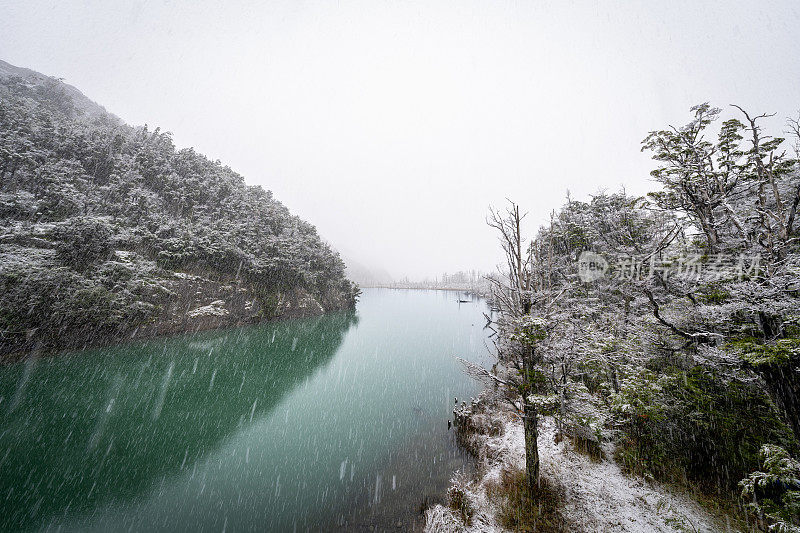 流经巴塔哥尼亚雪林的河流