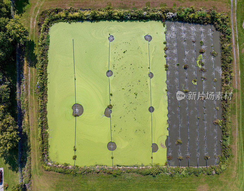 水藻灌溉池鸟瞰图