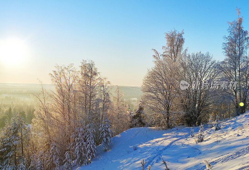 冬天的风景，阳光照亮了白雪覆盖的树木。