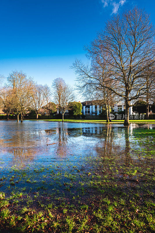 在英国马洛，公园里的树木被泰晤士河淹没