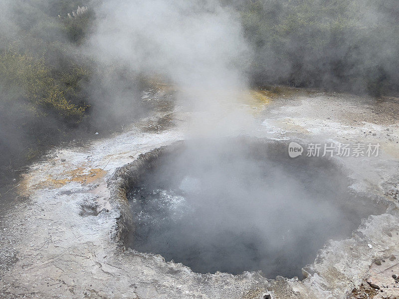 热气腾腾的水蒸气从罗托鲁瓦的热水池表面升起