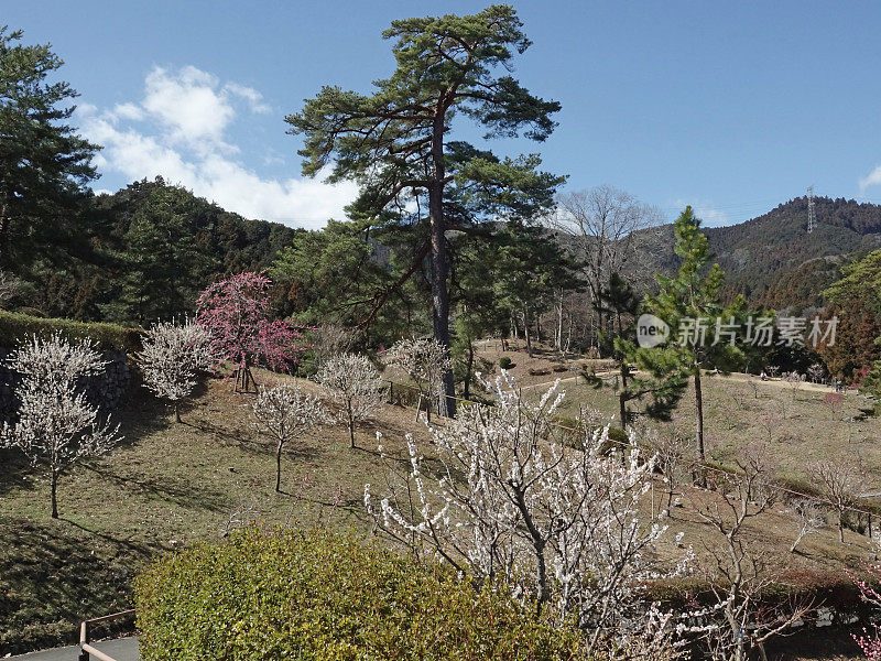 吉野巴林公园