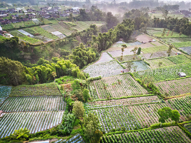 清晨，鸟瞰薄雾笼罩的山坡上整洁的菜园和村庄。农业概念，有机农业，乡村风光，环境。