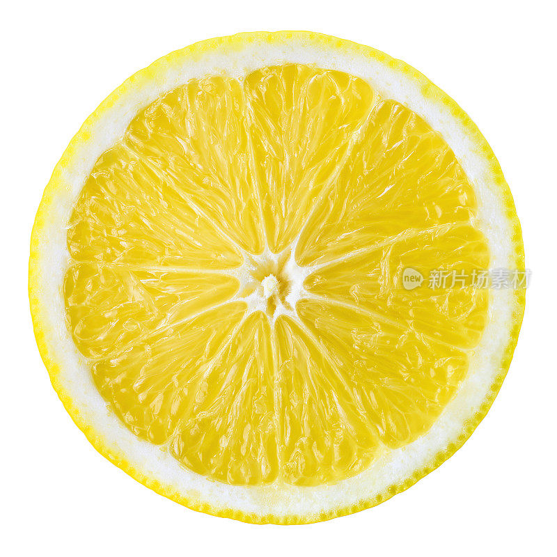 柠檬水果片。圆孤立在白色上。