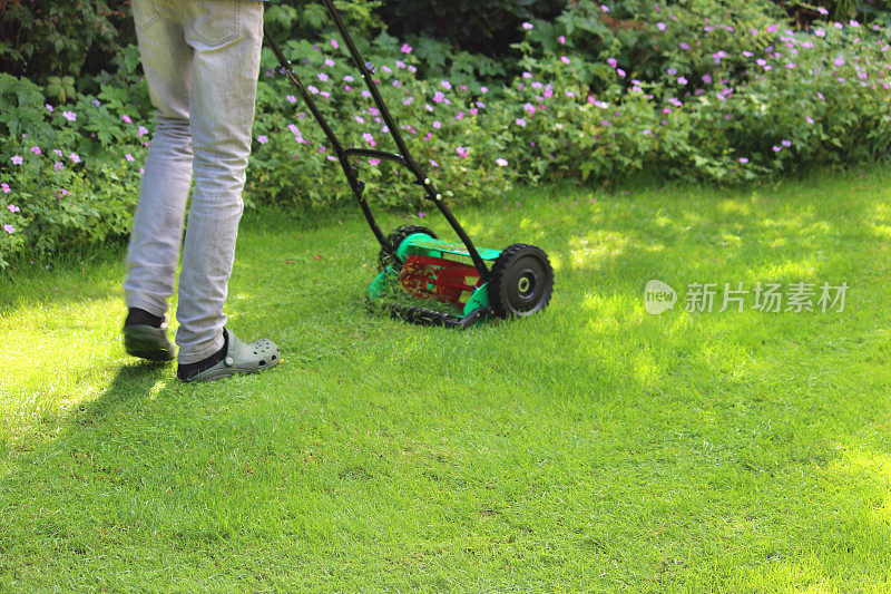 园丁用推式割草机、圆筒割草机割草坪的形象