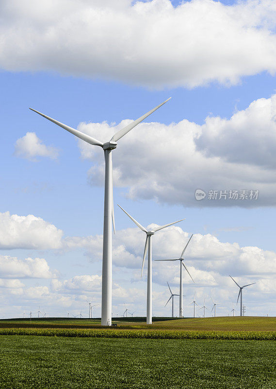 风力涡轮机生产清洁能源