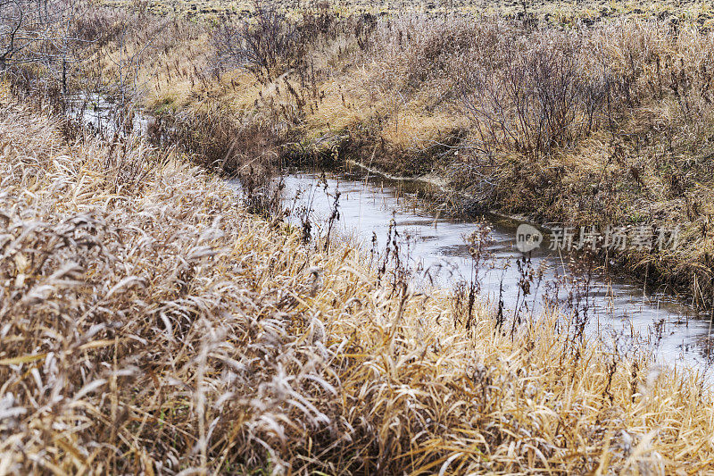 冰冻溪流上五颜六色的干草