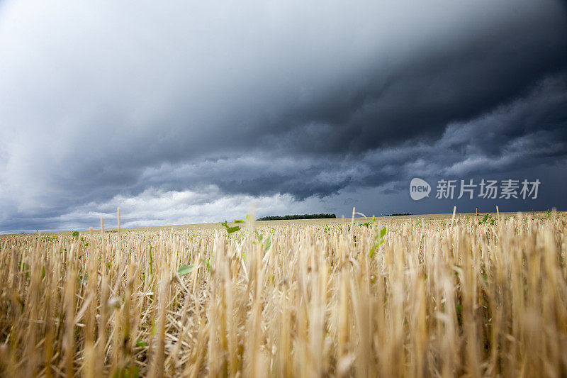 暴风雨前的坡地。