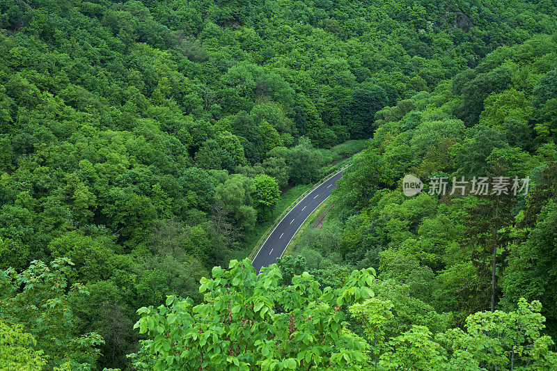 春天绿林带路德国