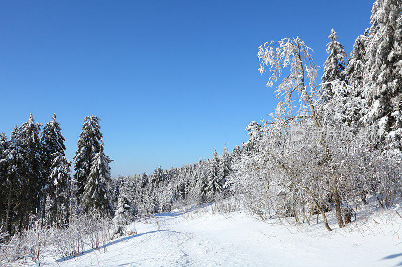 阳光winterday