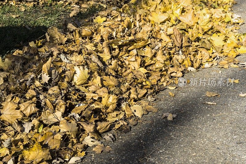 把叶子耙到路边以便回收