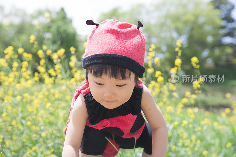 穿着瓢虫服装的小女孩趴在地上