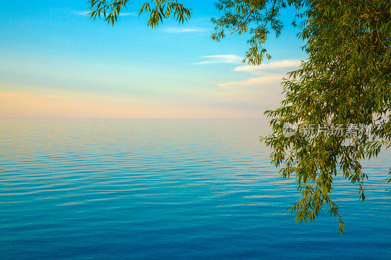 安大略湖飘渺的日落，右边的树，拷贝空间，蓝色的水