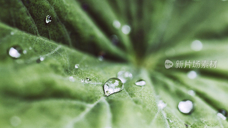 雨过天晴