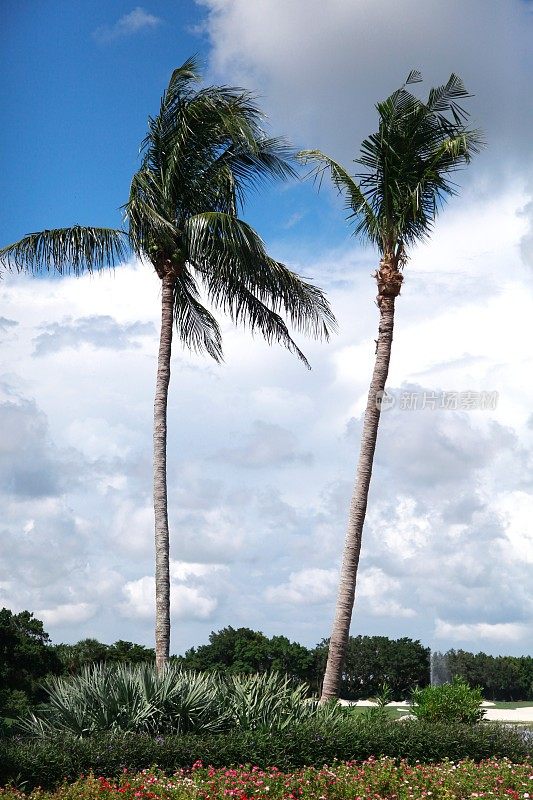 美丽的风景，夏天的景色。