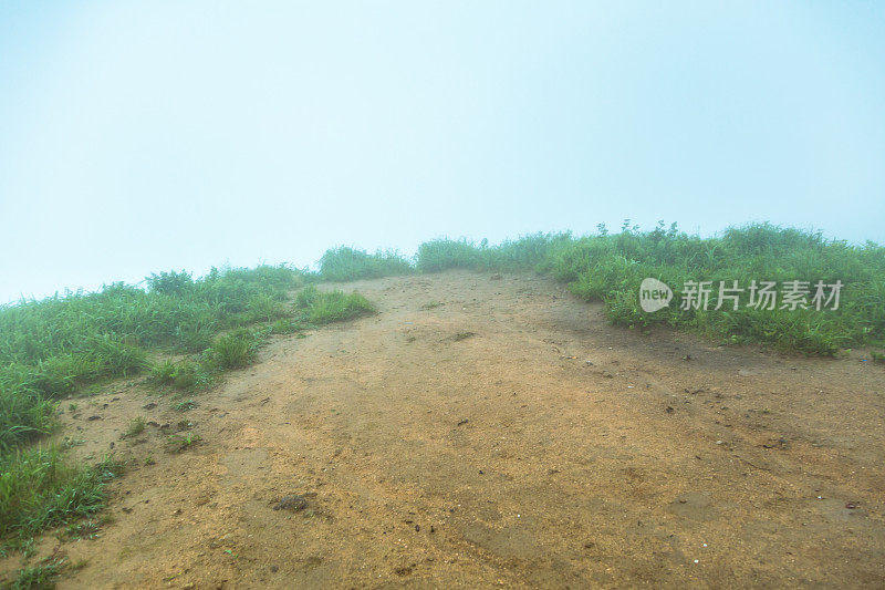 雾天的草地在山顶上