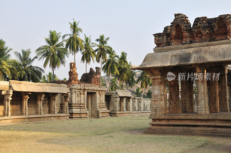 Achyuta植物园，Hampi,Karnataka，印度。