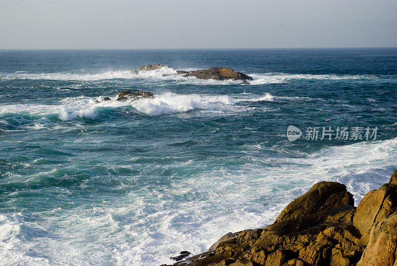 海岸的加盟