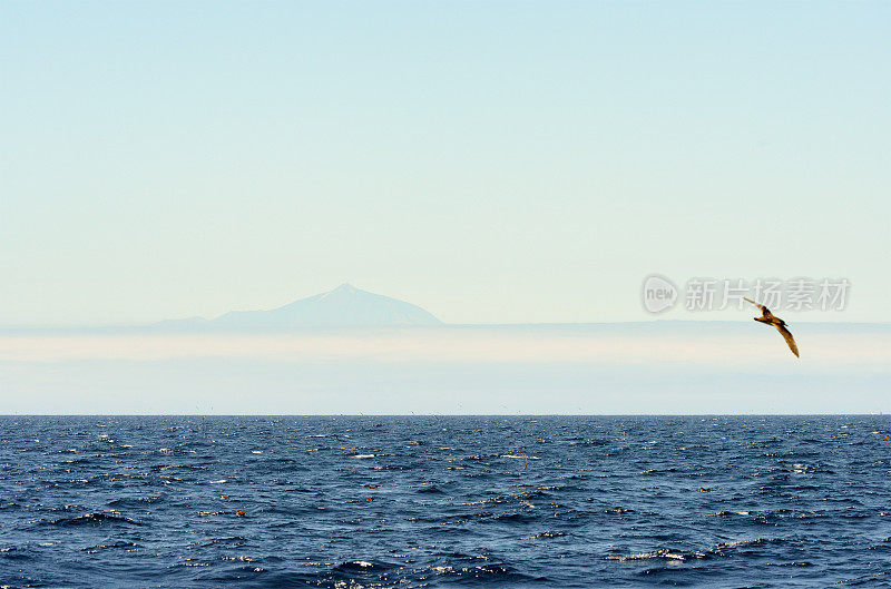 特内里费岛(加那利群岛)的皮科德泰德岛