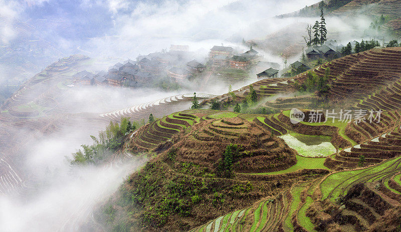 龙胜梯田种植，中国