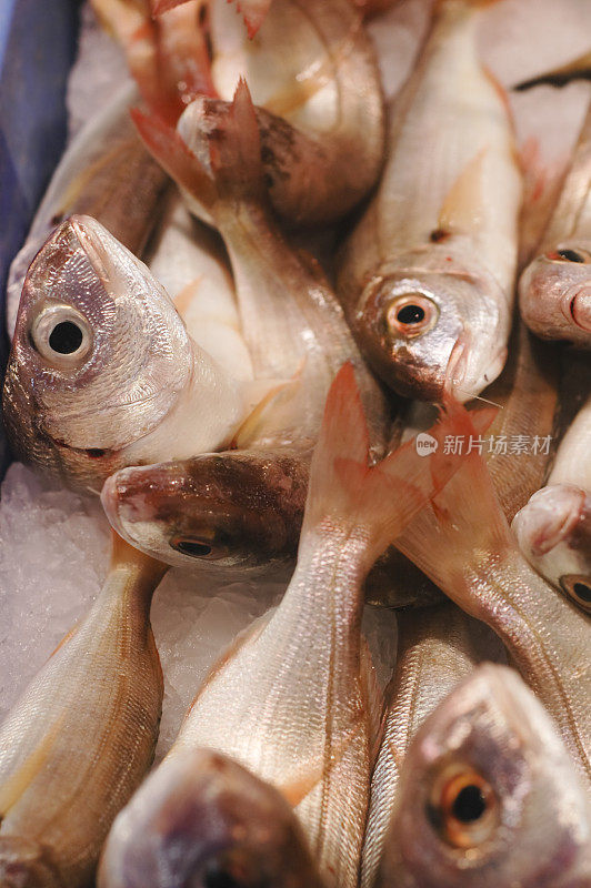 市场里的鱼，红鲷鱼