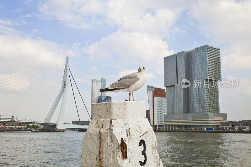 荷兰鹿特丹港区