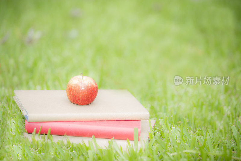 学校的书堆和苹果在校园草地上。