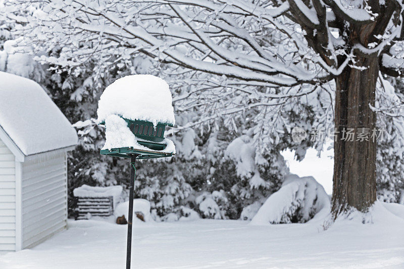 暴雪后院喂鸟器