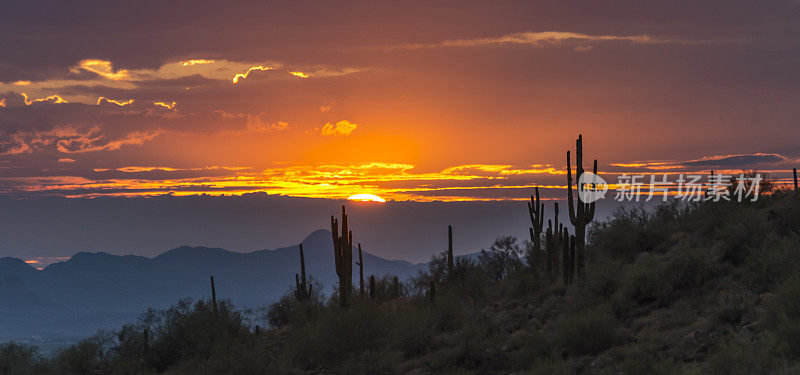 亚利桑那山脉外的沙漠日落