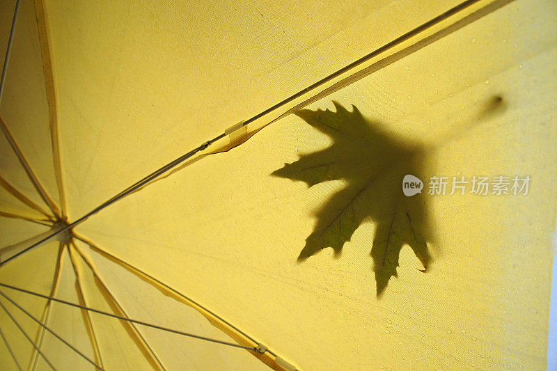 秋天离开，雨点落在伞上