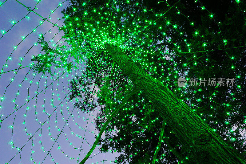 绿光装饰树