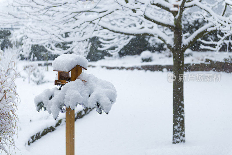 鸟屋用冷杉树枝和雪