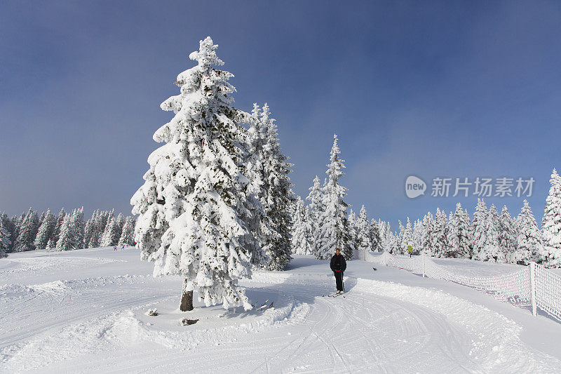 滑雪运动员在一个美丽的冬天....罗格拉，斯洛文尼亚