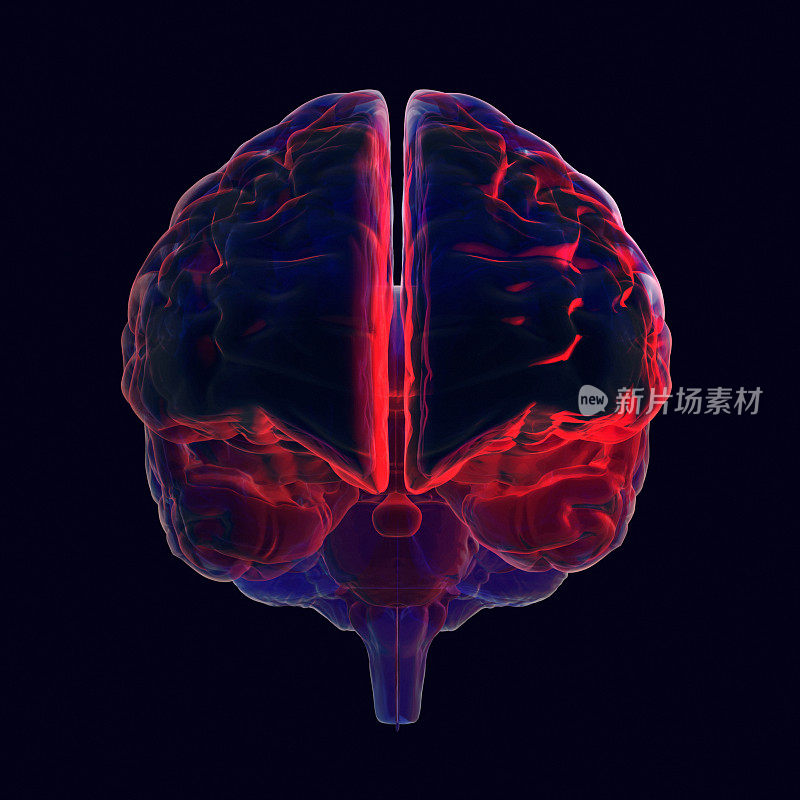 人类大脑x射线类型