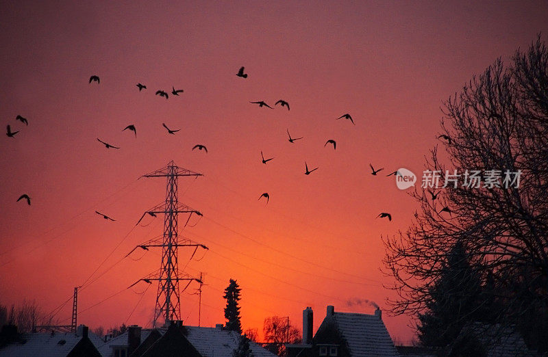 城市上空寒冷的夕阳