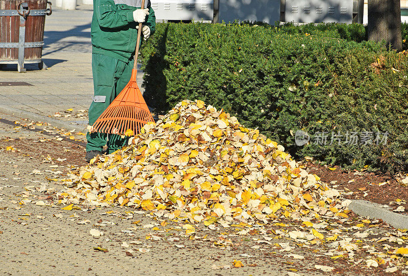 街道清洁工在秋天工作