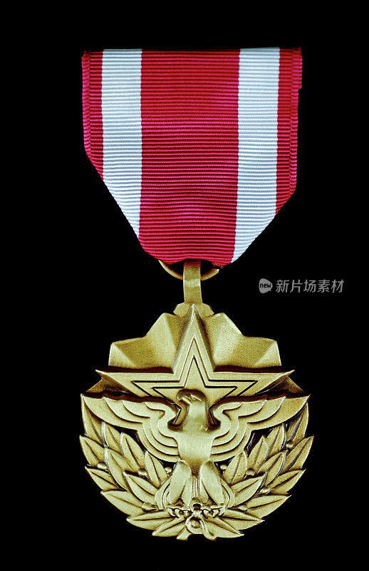 美国荣誉服务奖