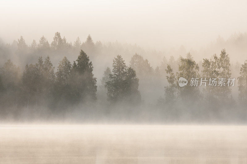 黎明时分雾蒙蒙的森林和湖泊