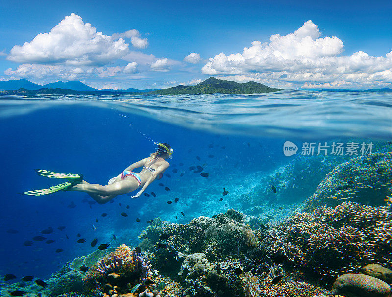 女人在珊瑚礁周围游泳，周围有许多鱼。