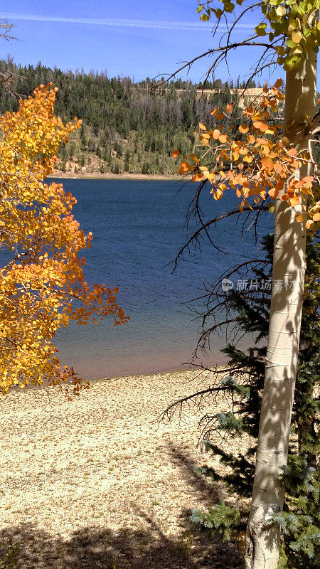 沿着犹他州纳瓦霍湖开始的秋色